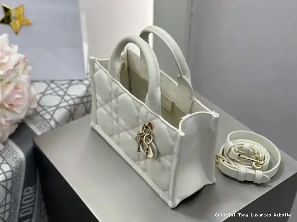 Tony Luxuries TOTE-21.5*13*7.5CM BOOK MINI diro 0501